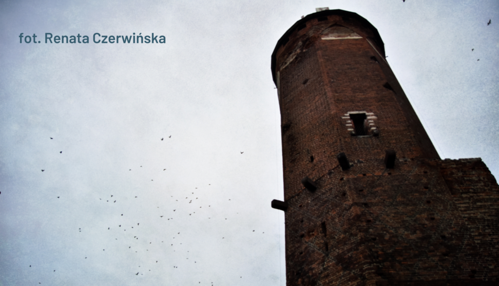 Wieża zamku krzyżackiego w Brodnicy